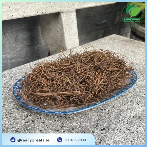Chiết xuất và dạng viên nang của dây tơ hồng