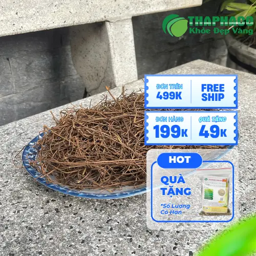 Dây tơ hồng khô chất lượng cao