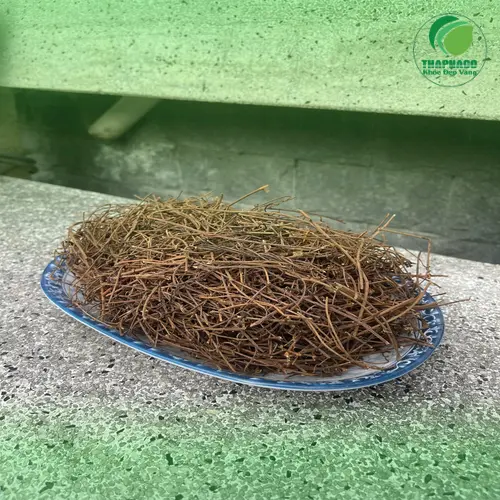 Dây tơ hồng khô đóng gói tiêu chuẩn