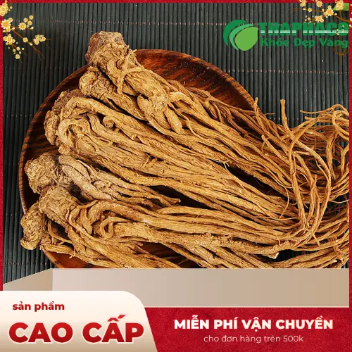 Hình ảnh rễ Đương Quy khô tự nhiên, chất lượng cao