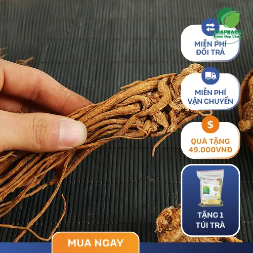 Cách chế biến Đương Quy thành các món ăn bổ dưỡng