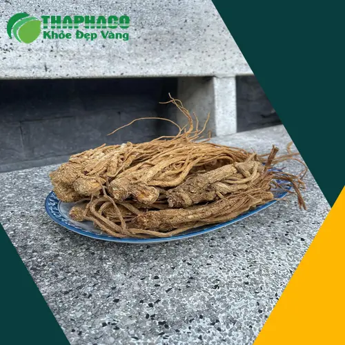 Dược sĩ tư vấn về cách sử dụng Đương Quy an toàn