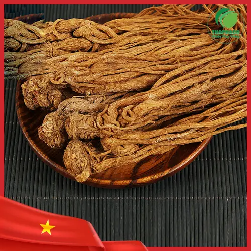 Sản phẩm Đương Quy khô của Thảo Dược Tấn Phát