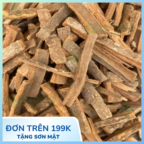 Hậu phác khô chất lượng cao từ Thảo Dược Tấn Phát HCM