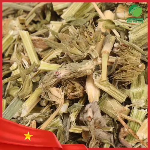 Hình ảnh cây ích mẫu tươi đang được thu hoạch và phơi sấy