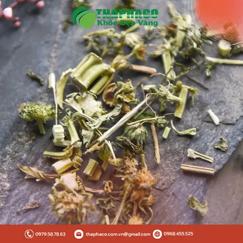 Hình ảnh quy trình pha trà ích mẫu sấy khô đúng cách