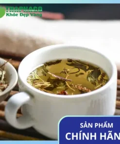 1kg mã đề sấy khô giá bao nhiêu tiền? Giá tốt Thảo Dược Tấn Phát