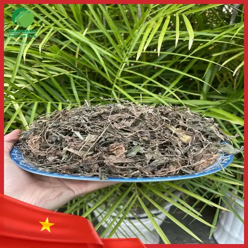 Mã đề khô chất lượng cao được đóng gói cẩn thận tại Thảo Dược Tấn Phát