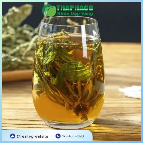 Cách sử dụng mã đề sấy khô đúng chuẩn y học cổ truyền