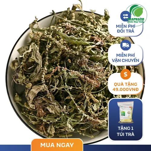 Giấy chứng nhận chất lượng và vệ sinh an toàn thực phẩm của Thảo Dược Tấn Phát