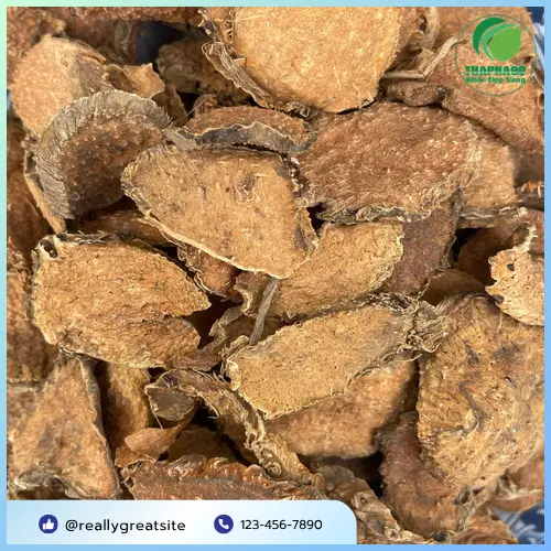 Móp gai khô chất lượng cao từ Thảo Dược Tấn Phát