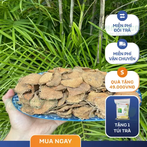 Quá trình phơi sấy móp gai tự nhiên