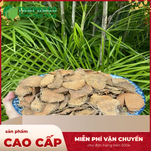 Ưu điểm nổi bật của móp gai sấy khô Thảo Dược Tấn Phát