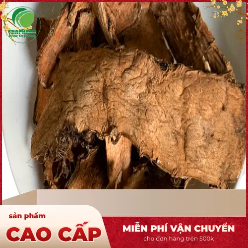 Thảo Dược Tấn Phát HCM cung cấp móp gai sấy khô uy tín