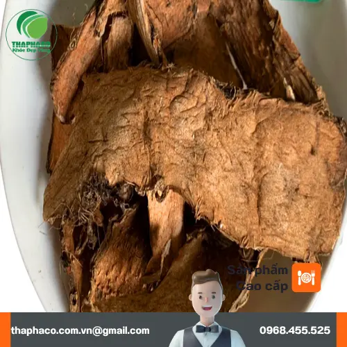 Chương trình khuyến mãi móp gai sấy khô tại TP.HCM