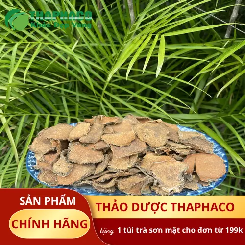 Hình ảnh tổng quan về cây mướp gai và quả, với những quả mướp gai xanh mướt trên giàn leo.