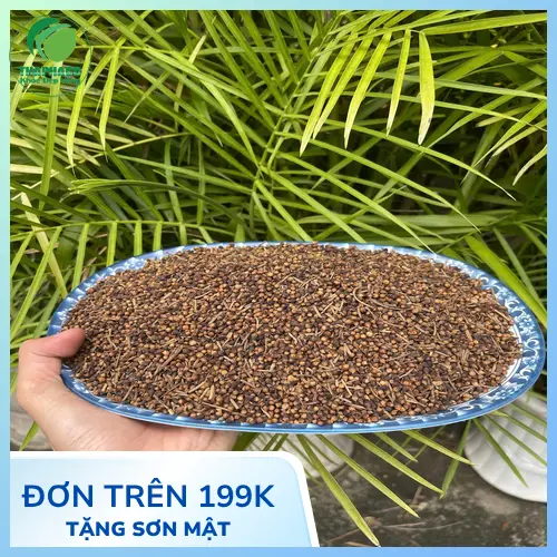 Nụ vối khô đã được sấy và đóng gói, sẵn sàng pha trà