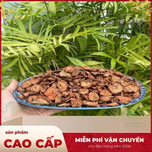 Hình ảnh táo mèo tươi và khô