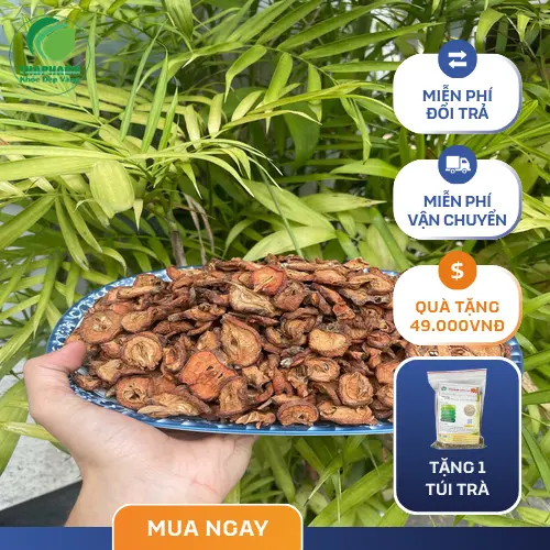 Trà táo mèo khô tốt cho sức khỏe tim mạch