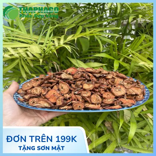 Công dụng của táo mèo sấy khô đối với sức khỏe