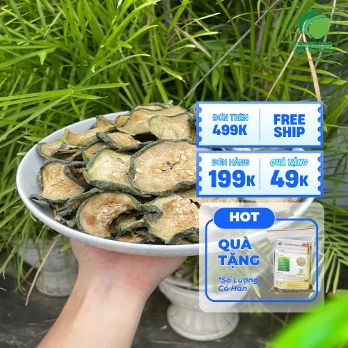 Bí đao sấy lạnh tiện lợi cho người mới bắt đầu