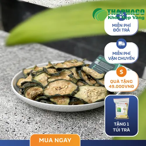 Mua bí đao sấy lạnh chất lượng tại THAPHACO