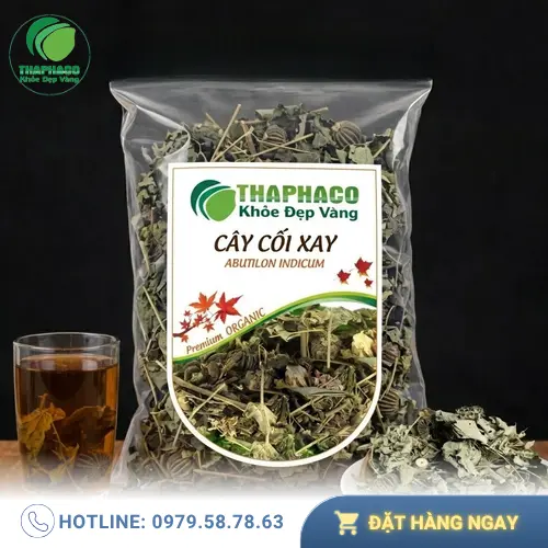Quy trình chế biến cây cối xay sấy khô tại Thảo Dược Tấn Phát