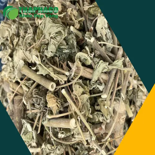 Cách dùng cây cối xay để sắc nước uống tại nhà hiệu quả