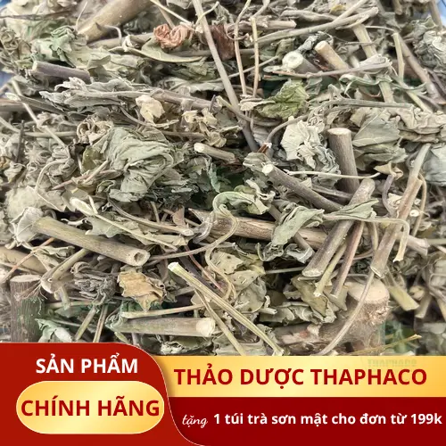 Cây cối xay tươi được thu hoạch để chế biến tại Thảo Dược Tấn Phát HCM