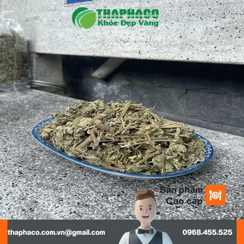 Địa chỉ Thảo Dược Tấn Phát HCM tại Gò Vấp, TP.HCM