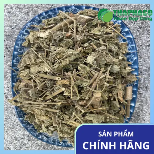 Cận cảnh cây cối xay khô nguyên chất từ Thảo Dược Tấn Phát