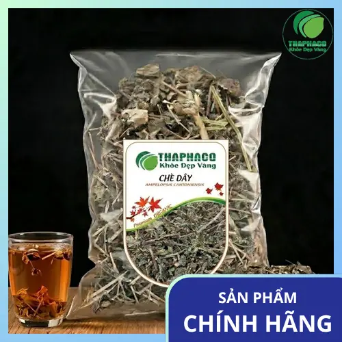 Hình ảnh cây chè dây sấy khô nguyên chất