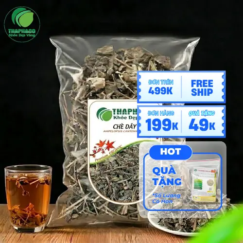 Chè dây khô là gì, nguồn gốc và đặc điểm của chè dây