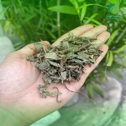 Dấu hiệu chè dây khô bị ẩm mốc, đổi màu và có nấm mốc