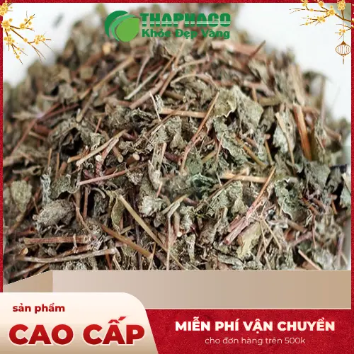 Quy trình sản xuất chè dây khô tại THAPHACO