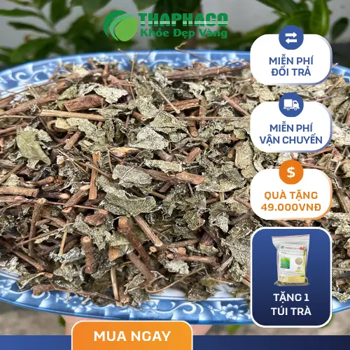 Công dụng chè dây sấy khô đối với sức khỏe