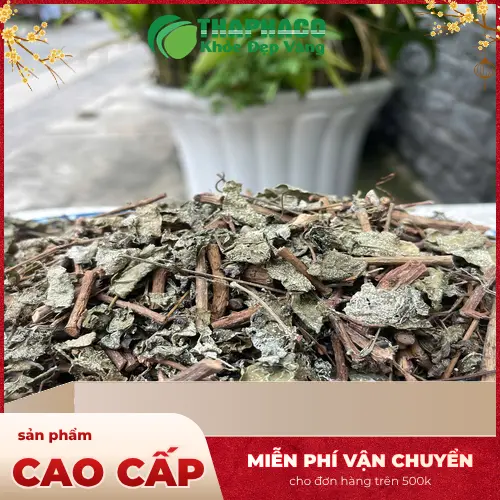 Cơ chế tác động của chè dây khô với dạ dày