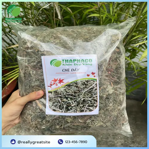 Hướng dẫn sử dụng chè dây sấy khô đúng cách
