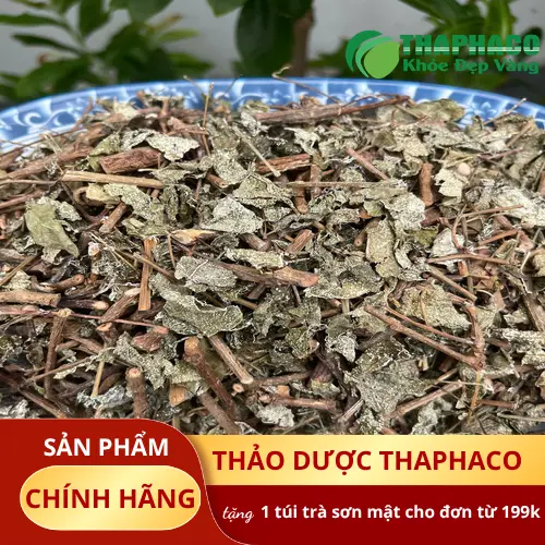 Mua chè dây khô chất lượng tại THAPHACO
