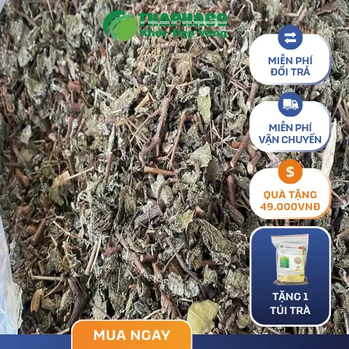 Cách bảo quản chè dây khô đúng chuẩn trong hộp kín, nơi khô ráo