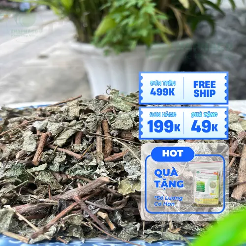 Mua chè dây chất lượng tại THAPHACO