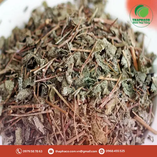 Sản phẩm chè dây sấy khô THAPHACO
