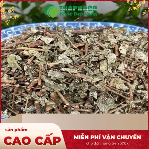 Thaphaco cung cấp chè dây loại 1 chất lượng, uy tín