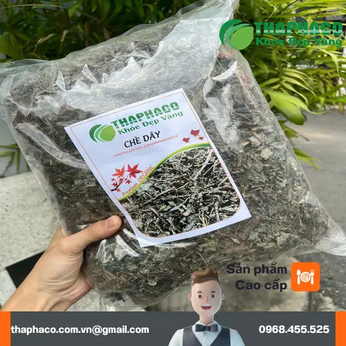 Mua chè dây sấy khô chất lượng tại THAPHACO