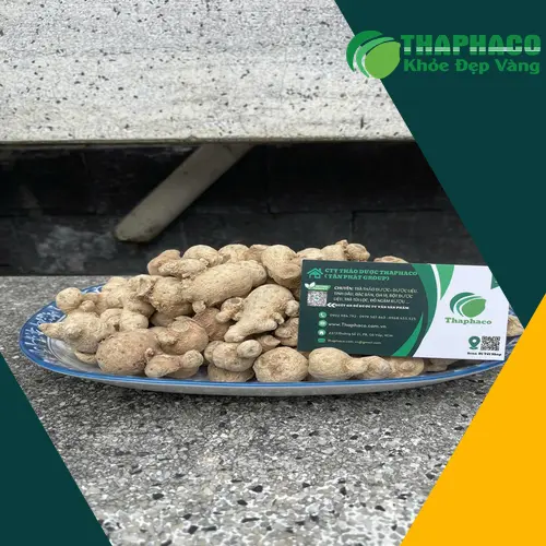 Củ tam thất nam sau khi sấy khô, đảm bảo chất lượng và giữ trọn dưỡng chất