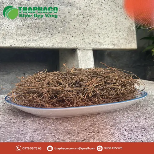 Dây tơ hồng khô đã được phơi và đóng gói cẩn thận