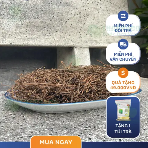 Hình ảnh Dây tơ hồng khô Tấn Phát, chuẩn bị cho bài thuốc
