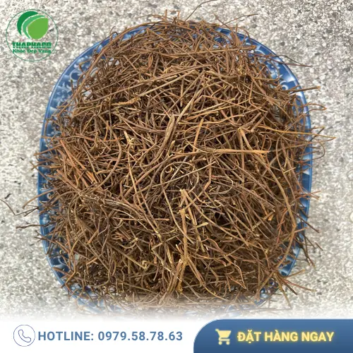 Quy trình đóng gói dây tơ hồng sấy khô tại Thảo Dược Tấn Phát HCM