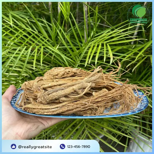 Đương Quy thái lát tiện lợi cho người dùng