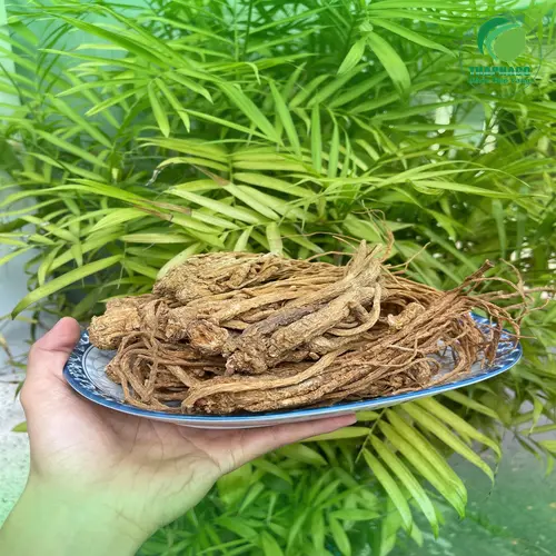 Đương quy khô được đóng gói cẩn thận